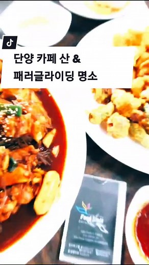 단양 카페 산과 패러글라이딩 명소 탐방