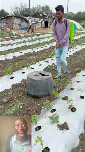 Incredible Spraying Techniques