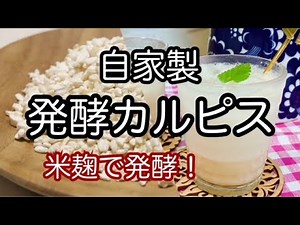 【自家製発酵カルピスの作り方】米麹とヨーグルトのダブル発酵！Making homemade fermented Calpis using rice koji