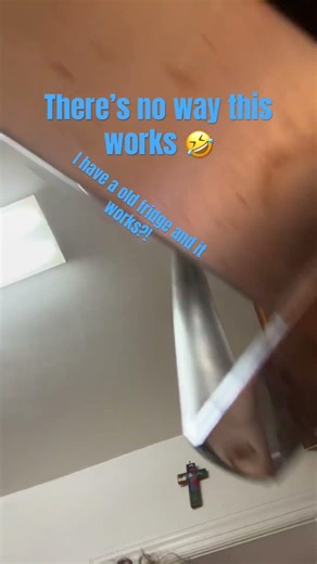 Does it work on your fridge?#discofridge