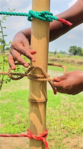 The Rope Knot Trick Most People Fail to Learn #rope #knot