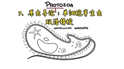 7、原虫导论：单细胞寄生虫〖Armando Hasudungan〗双语精校