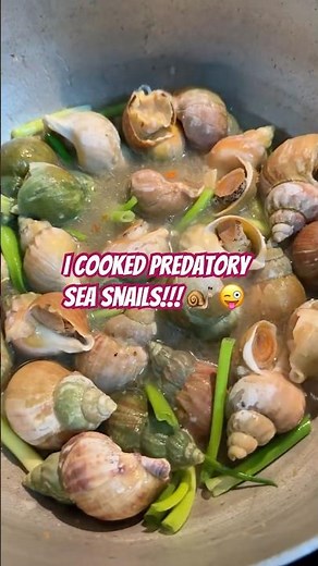 REAL WHELK SEA SNAILS AND THEY’RE DELICIOUS!🤤 #seafood #seafoodlover #foodie