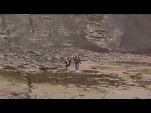 Mary Anning and the Jurassic Coast of England