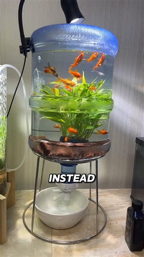 This Fish Tank Is Genius
