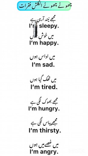 English Sentences Translated to Urdu - Easy & Quick