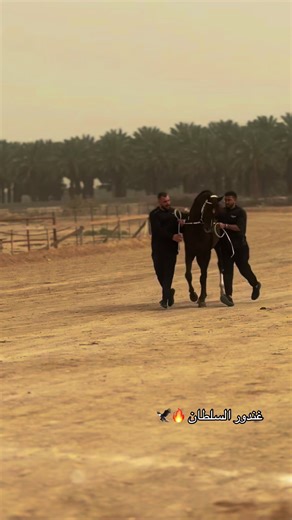 ‏#عشيرة_الغريفات👑