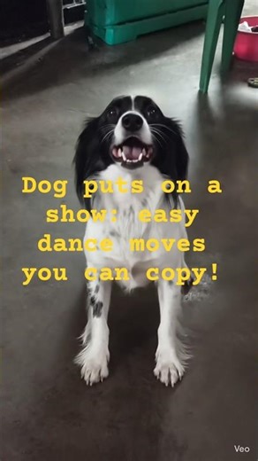 9Dog Dance Moves You Need to Try with Your Pup!🐾💃💞#shorts
