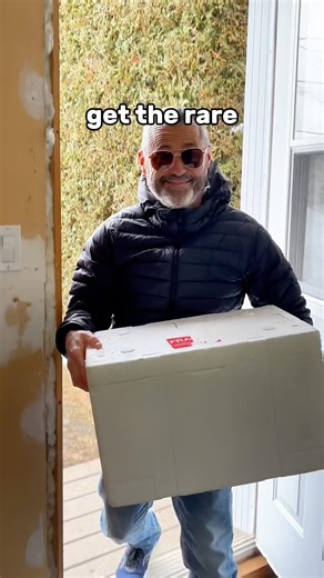 3 annoying things about being a fish breeder!🐟 #fishtank #aquarium #fishbreeder #fishbreeding #fish