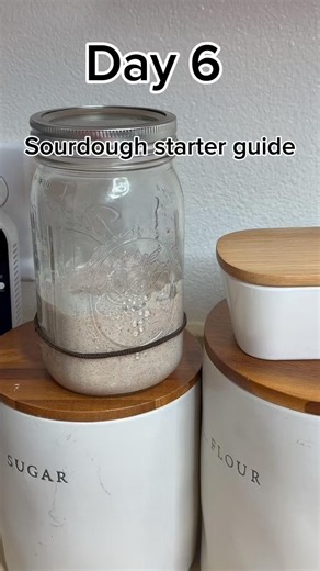 Sourdough Starter Guide day 6