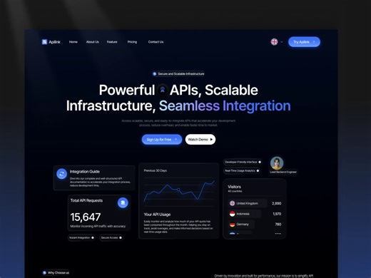 API as a Service SaaS Landing Page for Developer Platforms