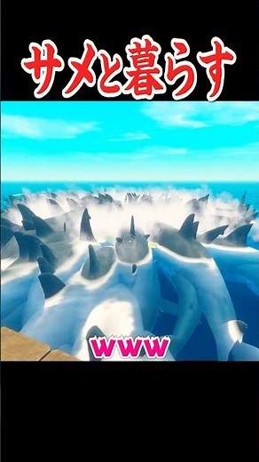 Living surrounded by 1,000 sharks