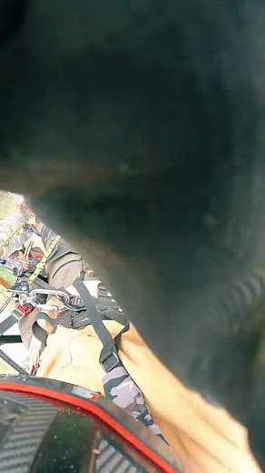 8.2K views · 85 reactions | Robert tree cutting service  all types dangerous trees cutting service #reels2023 #viralreels #reelsfb #reelsvideo #treeservice #viralshorts #reelsviral #reels #treelife | Robert Climber | Facebook