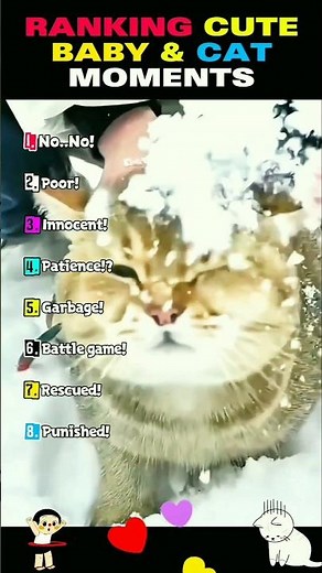Ranking Funniest Cat vs Baby Moments #shorts