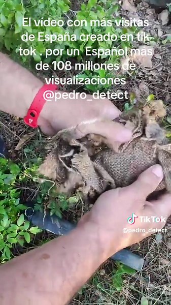 PedroDetect on TikTok