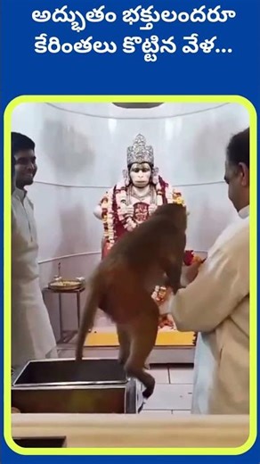 అద్భుతం భక్తులందరూ కేరింతలు కొట్టిన వేళ |Prime pages