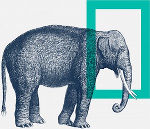 Impact Investing at Koda - Koda Capital