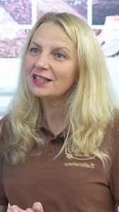 20K views · 86 reactions | Legendinio „Rūtos“ fabriko istorija: padirbinėjami pavadinimai. Visą laidą rasite LRT mediatekoje. #Rūtossaldainis #LRT #Daiktųistorijos | LRT | Facebook