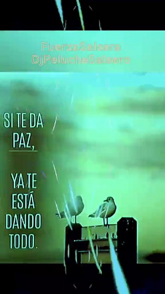 Discover Salsa with Dj Peluche Salsero