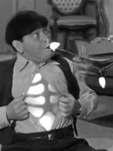 HE COOKED HIS GOOSE!!! Larry is a pet store dealer who is having an affair with Moe's wife and is trying to have an affair with Shemp's fiancee. After both become suspicious, Larry comes up with a plan to put himself in the clear and frame Shemp as the philanderer. #oldbutgold #threestooges #slapstick