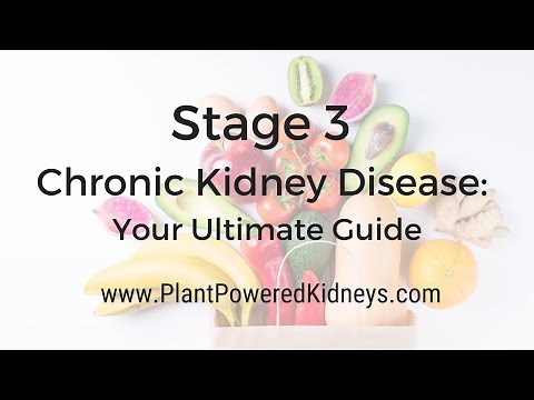 Stage 3 Kidney Disease: A Crash Course on What to Know