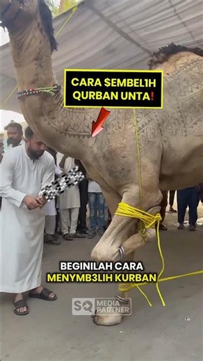 How to Sacrifice a Camel #shorts