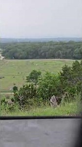 CVA Cascade 6.5 PRC at 485 yards