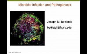 InfectionAndPathogenesis
