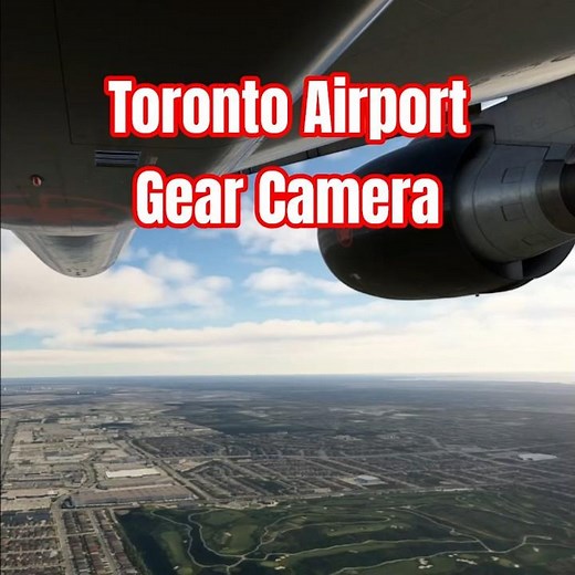 Watch This Plane Land Like a Pro!