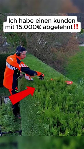 Diese Kundin bot mir 15.000 € für die Gartenarbeit, lehnte aber sofort ab. Wenn Sie den Grund erfahren, werden Sie staunen. #gartenarbeit #garten #reinigung #berlinergärten #deutschland