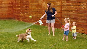 15K views · 42 reactions | Give us 90 seconds and we'll show you how to keep fleas and ticks out of your yard all summer long, safely and naturally. | Wondercide | Facebook