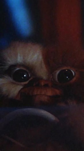 Gizmo drives like a maniac through the department store in his quest to save Billy. . . . #gizmo #gremlins #moviescenes #80s | Gremlins Museum