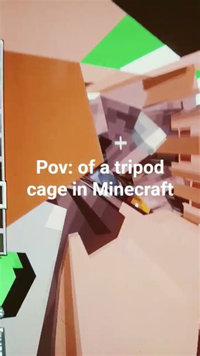 pov: you are in a tripod cage in Minecraft