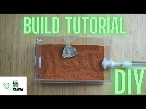 How To Make An Ant OutWorld