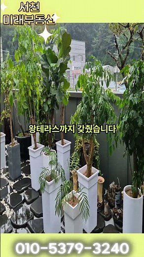 (매물번호:) H.P: 010-5379-3240 #서천전원주택 #여행 #시골주택 #충남부동산 #귀농귀촌 #서천부동산 #세컨하우스 #바다 #시골집#상가주택매매#상가주택