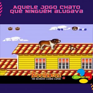 Conhecido no jogo como Beethoven's 2nd , é um jogo de plataforma cômico de rolagem lateral desenvolvido pela Riedel Software Productions e publicado pela Hi-Tech Expressions para o Super Nintendo em dezembro de 1993, ele também recebeu uma conversão para DOS PC pela Rozner Labs Software Group, uma adaptação do videogame para o filme de comédia familiar americano de 1993 Beethoven's 2 , Beethoven coloca os jogadores no controle do cão São Bernardo titular enquanto ele vasculha o bairro em busca d