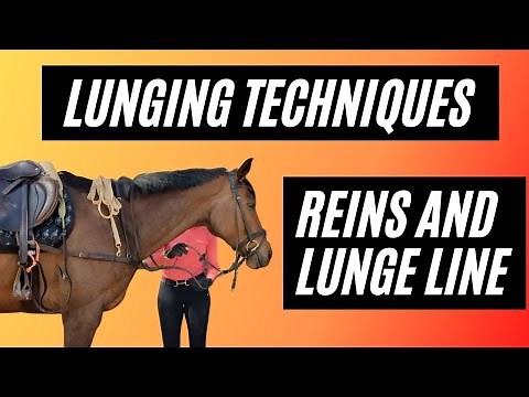 Mastering Lunging Techniques: Tying up Reins & Attaching Lunge Line for Your Horse
