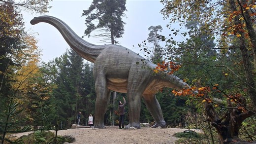 Das kann man im Dinosauriermuseum im Altmühltal erleben