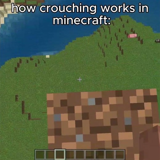 How crouching works in minecraft #shorts #funny