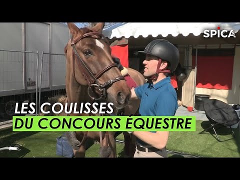 PARIS : les coulisses du concours équestre
