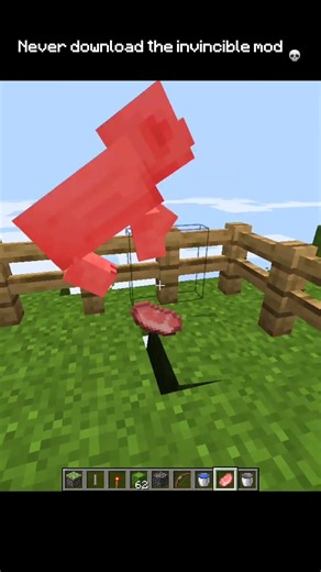 Never download the invincible mod 💀