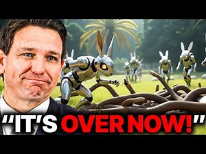 Florida Released Robotic Rabbits to Kill Pythons — What Happened Next Is INSANE