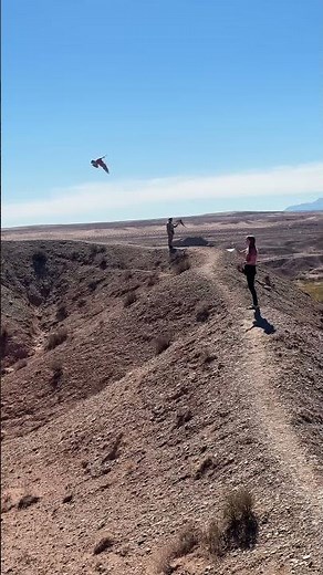 What I do for fun 🤩 #birds #bird #freeflight #cockatoo #parrot