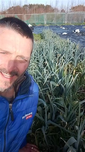 We need your help to expand our tribe of veg lovers! If you want a veg bag delivered to your door every week, click here: https://grassrootsgarden.ooooby.org We are the Redruth Riverford and we are a non-profit community supported agriculture farm on the edge of Redruth, serving Redruth and Camborne. We have a sliding scale pricing to support everyone and 3 different bag sizes. And if you can share this with your friends and family and find people who want to join us, we'll give you £10 worth of
