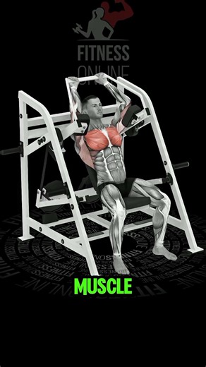 Seated Machine Pullover | Chest & Lats Workout | Machine Pullover Exercise #gymmotivation #sports