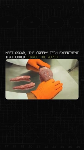 Artificial Intelligence | AI Tips | News on Instagram: "Machines that behave more like living things. Scientists are developing biohybrid robots that combine organic material with engineered systems. These machines can adapt to their surroundings and can sometimes repair minor damage, much like simple organisms."