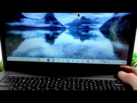 DELL Chromebook 3400 – What to Do If It Freezes