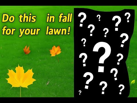 Fall Lawn Feeding