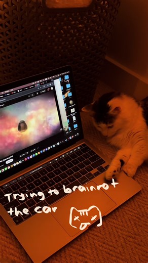 Cats in Cars: The Ultimate Cat Driving Compilation