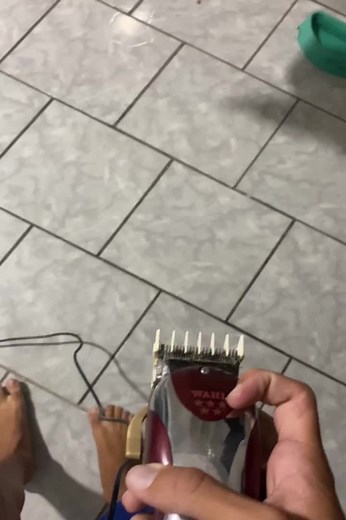 106K views · 264 reactions | He was about to get a free haircut! #FunnyVideos #ViralVideos Want to be Featured? Message us your Funny Videos! | Funny Videos | Facebook